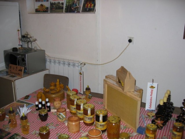 čebelarstvo - obisk šolarjev na domu - foto