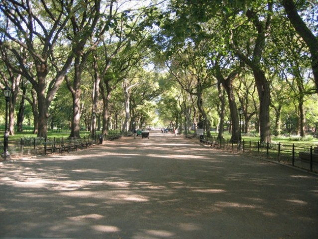 Central Park: The Mall