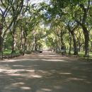 Central Park: The Mall