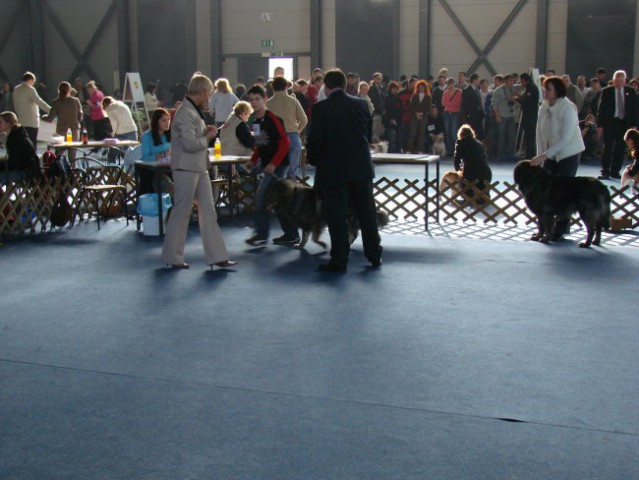 CACIB Tromostovje 2007 - foto