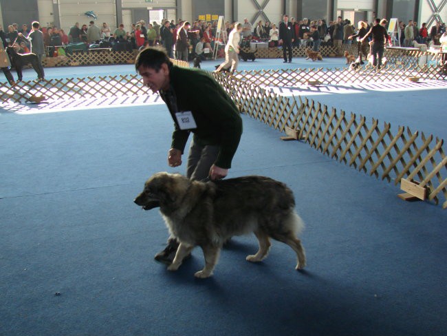 CACIB Tromostovje 2007 - foto povečava