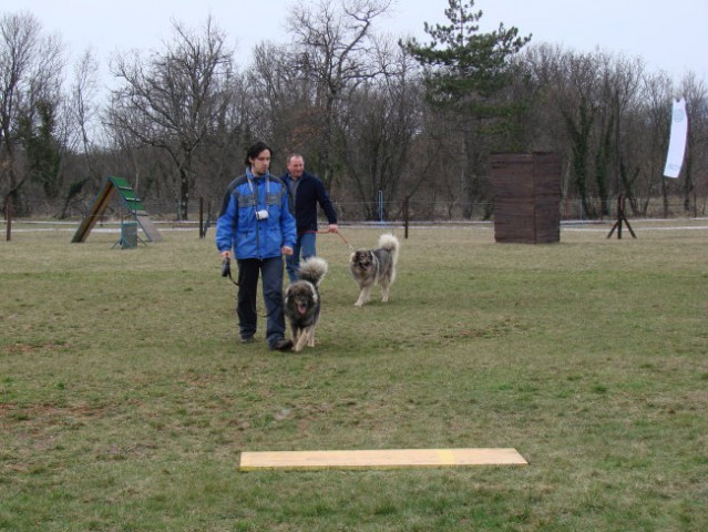 Vzrejni pregled Komen 2007 - foto