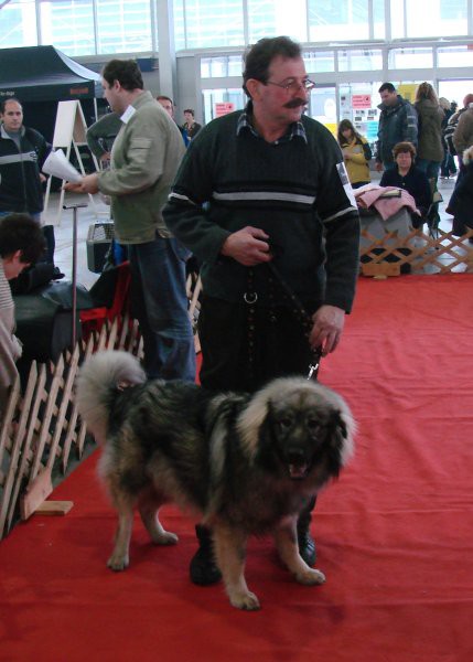 CAC Celje 2007 - foto