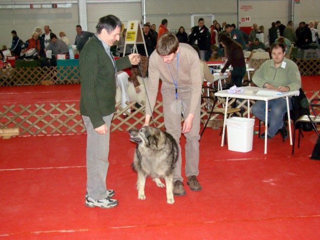 CAC Celje 2007 - foto