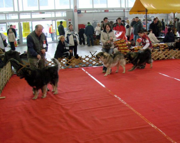 CAC Celje 2007 - foto