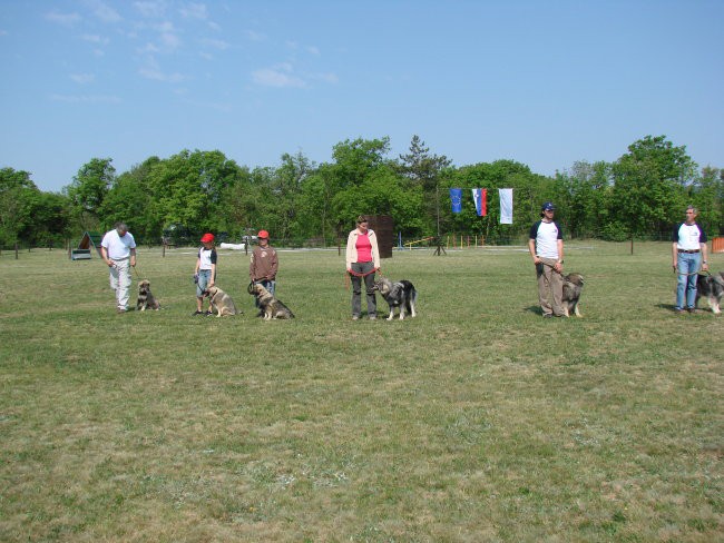 Komen april 2007 - foto povečava