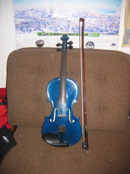 Violina - foto