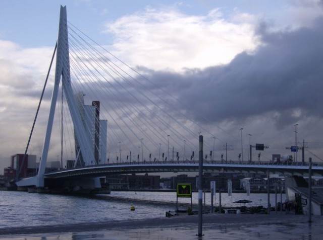 Erasmus bridge