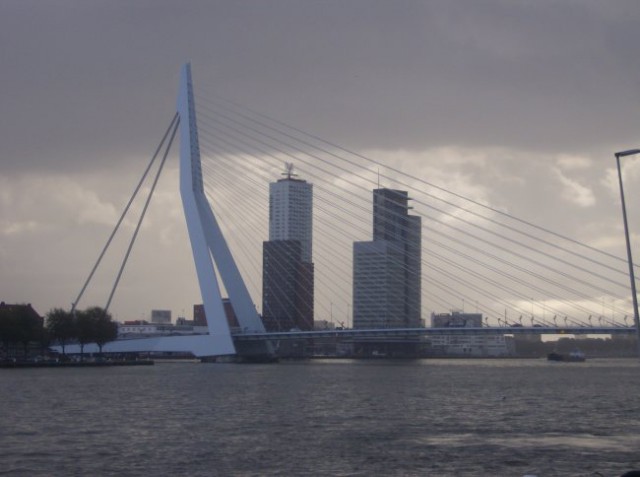 Erasmus bridge