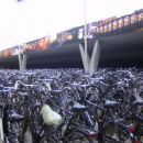 Parkirisce kolesov v Tilburgu - ali kot bi rekli tamkajsnji eramus studenti - prodajalna z