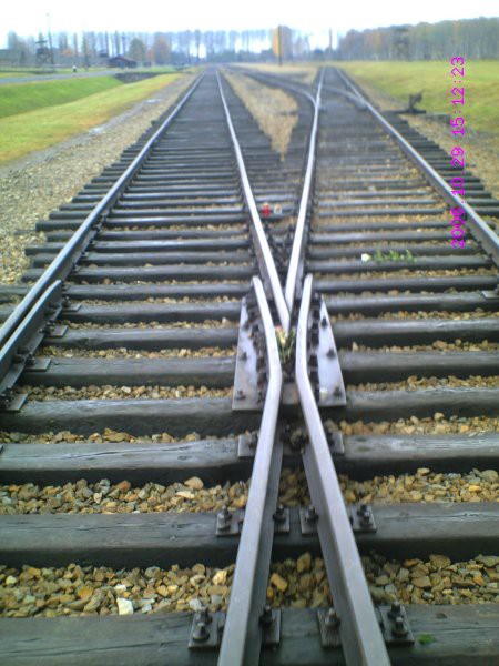 Birkenau