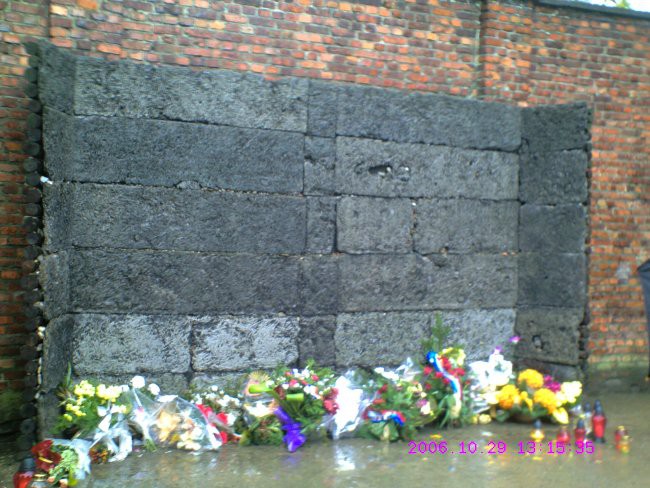 Auschwitz - zid smrti