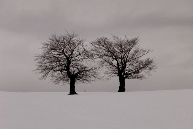 Fotografije - foto povečava