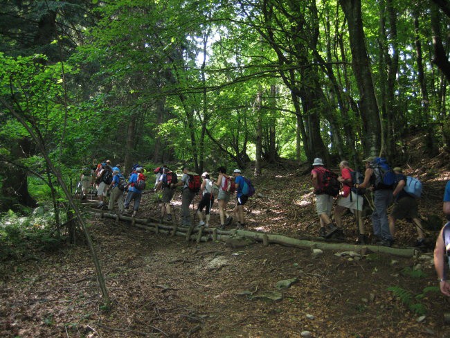 Topolouška pot - foto povečava