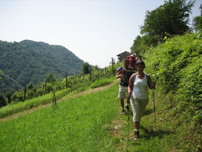 Topolouška pot - foto povečava