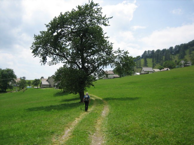 Tolminski migavec - Tolminski kuk - foto povečava