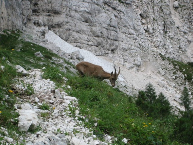 Na Triglav čez Prag - foto