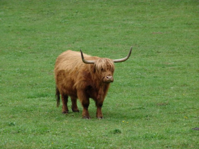 Logarska dolina - foto