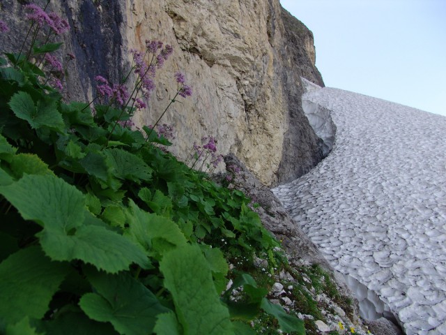 Dolomiti 2009 - foto
