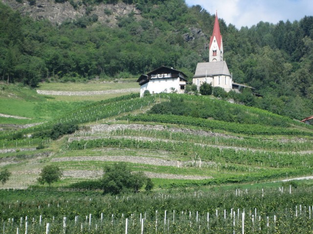 Južnotirolski vinogradi vsepovsod