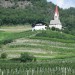 Južnotirolski vinogradi vsepovsod