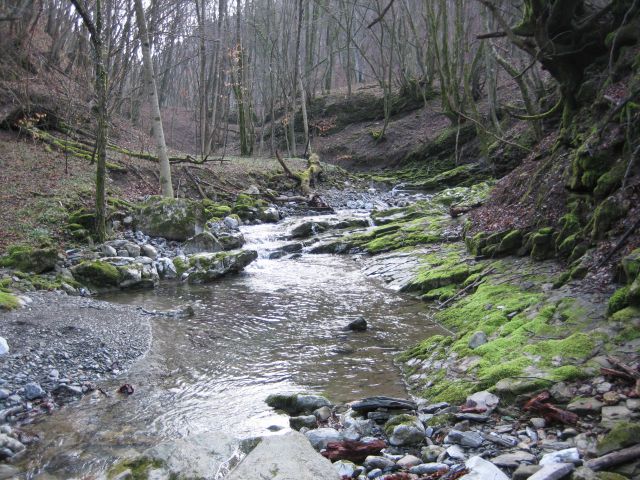 Po dolini Idrije, Ježa - foto