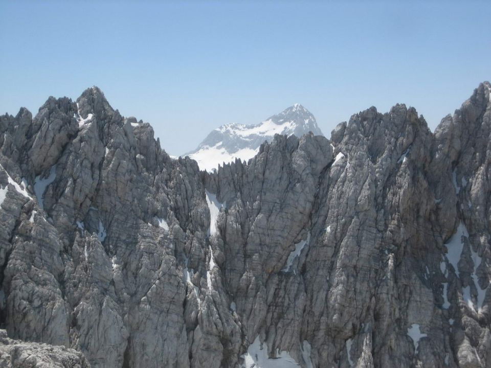 Velika martuljška Ponca - foto povečava