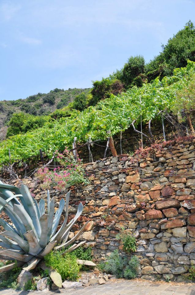 Toscana in Cinque Terre - foto povečava