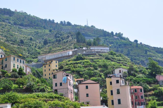 Toscana in Cinque Terre - foto
