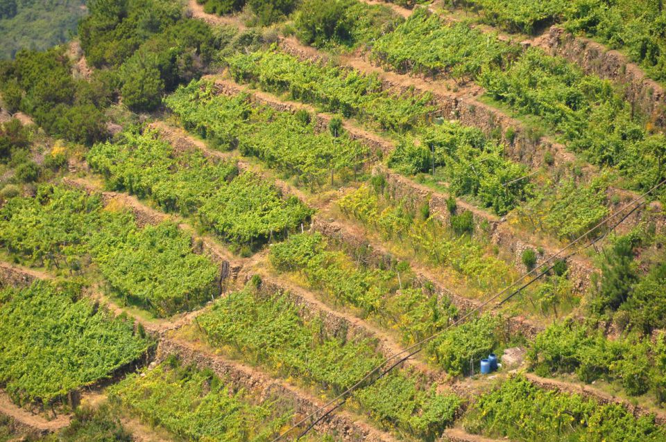 Toscana in Cinque Terre - foto povečava