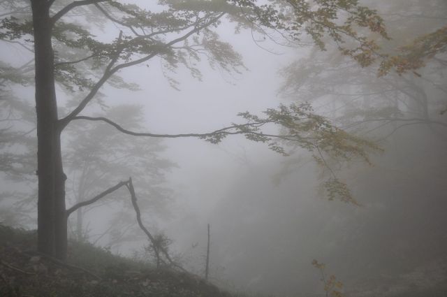 Triglavska jezera in Komna - foto