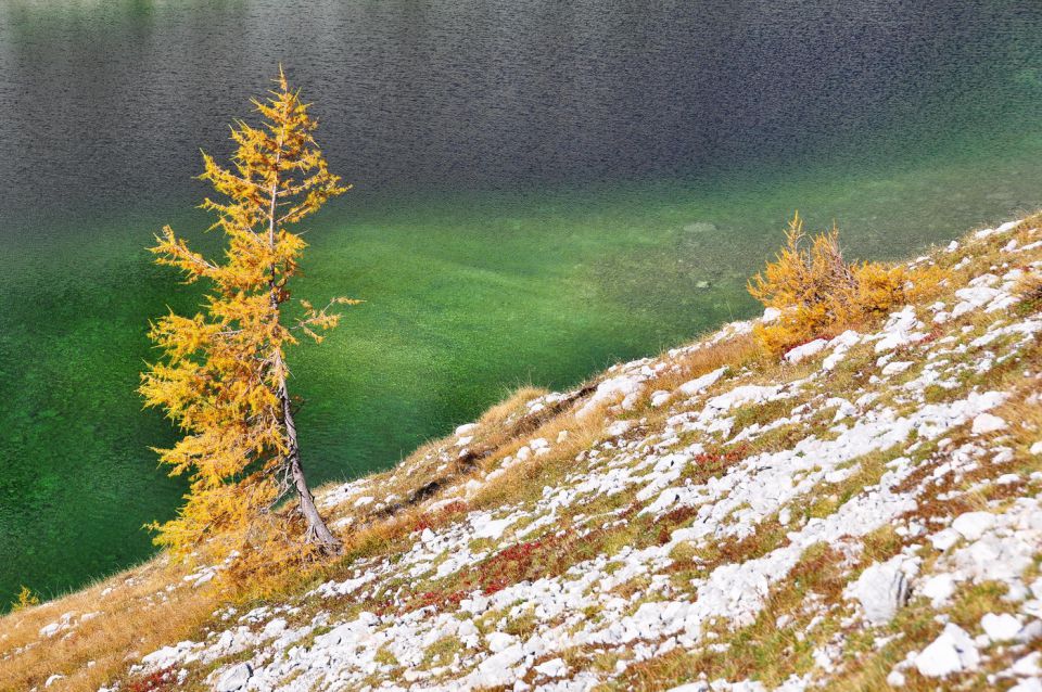 Triglavska jezera in Komna - foto povečava
