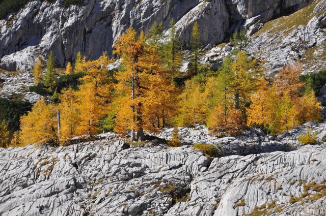 Triglavska jezera in Komna - foto