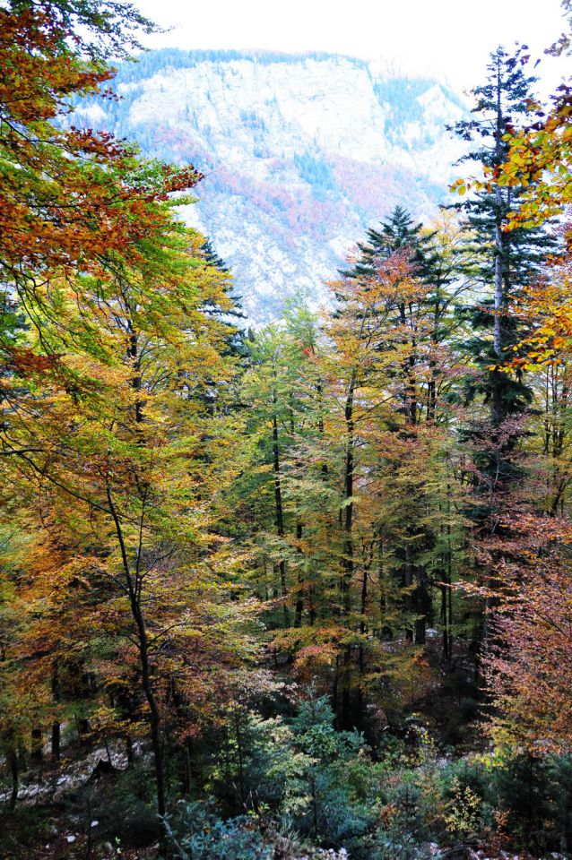 Triglavska jezera in Komna - foto povečava