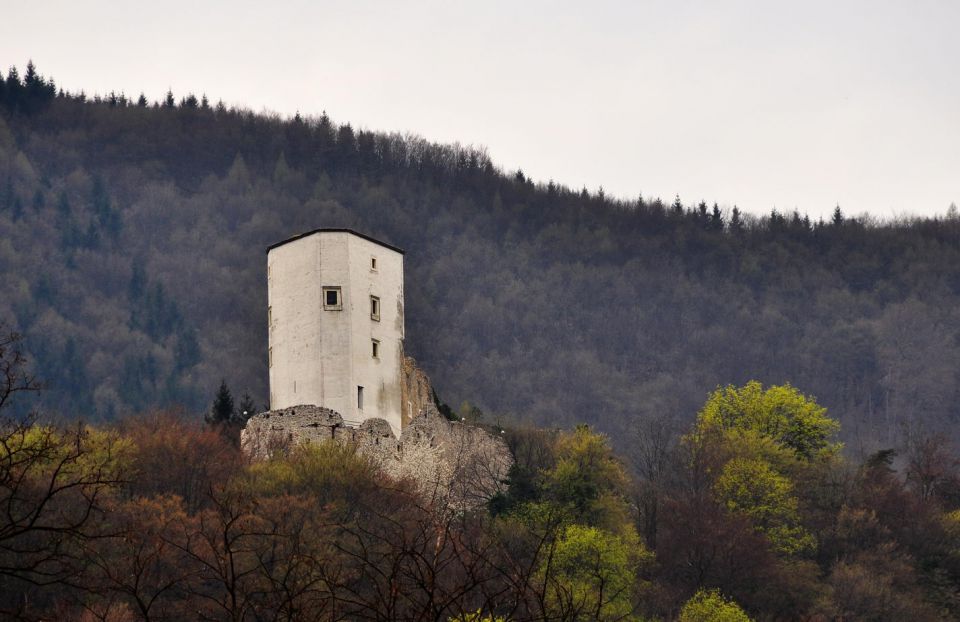 Konjiški grad