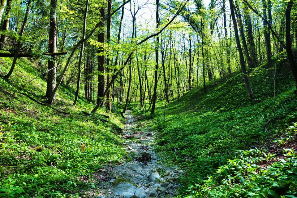 Dolina Čemaža - foto povečava