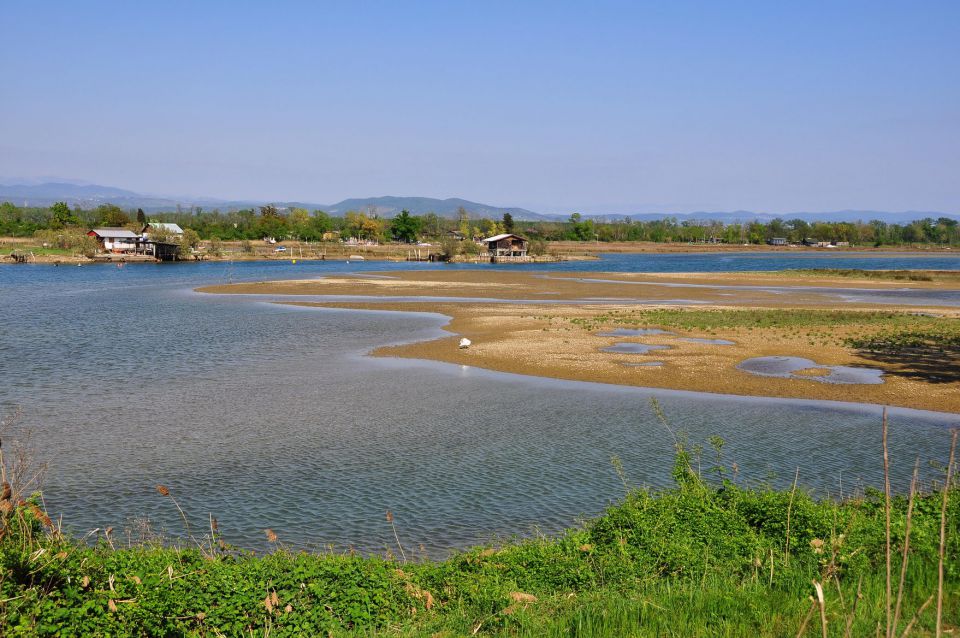 Izliv reke Soče - Isola Della cona - foto povečava