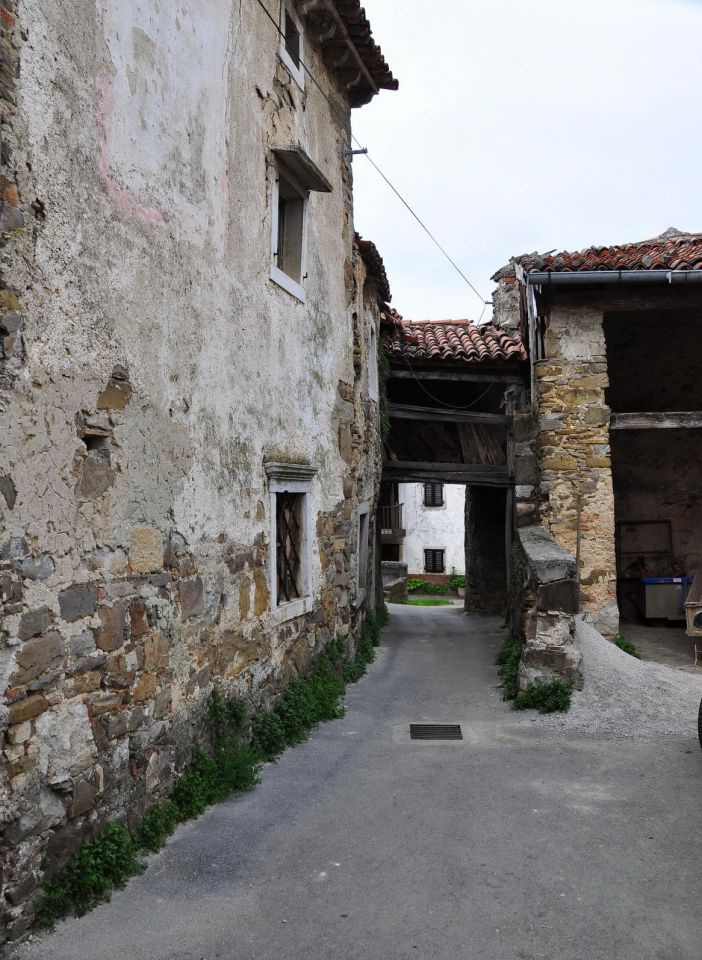 Goče in Marija snežna na Oboljuncu - foto povečava