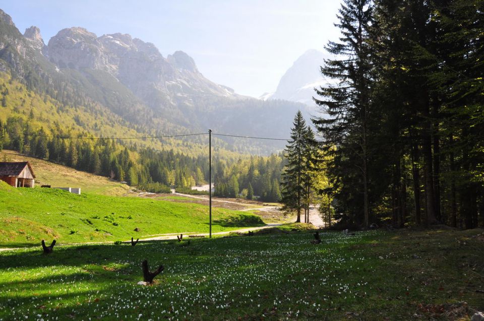 Mangartska planina