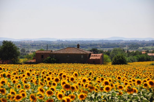 Umbrija in delček Toscane - foto