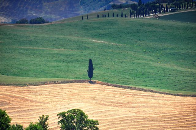 Umbrija in delček Toscane - foto