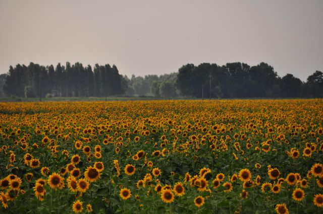 Umbrija in delček Toscane - foto