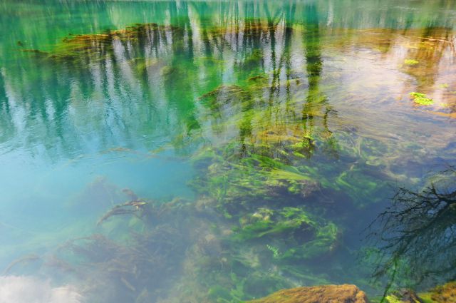 Ribiška vasica in izvir Timava - foto