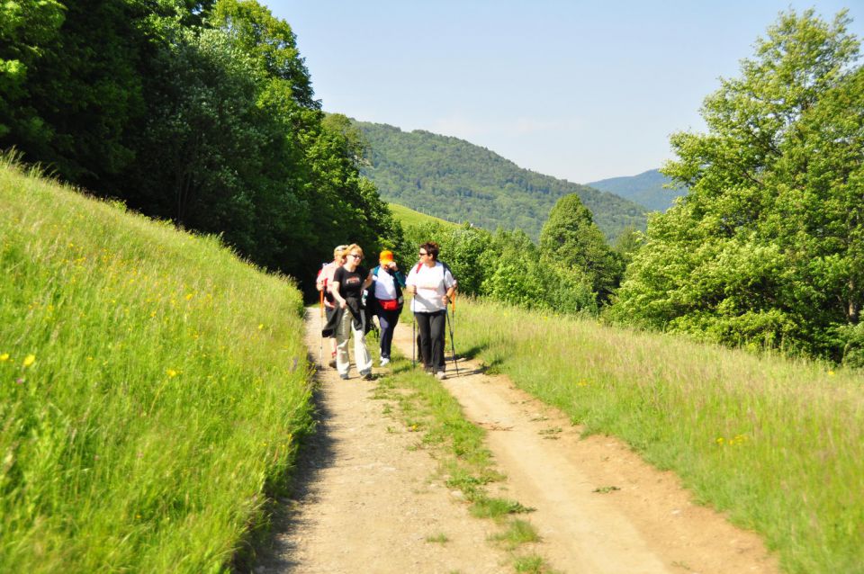 Kje so tiste stezice Levpa - foto povečava