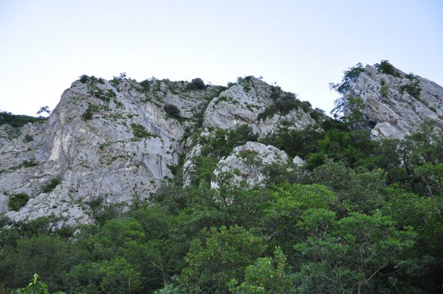 Gradiška tura - foto