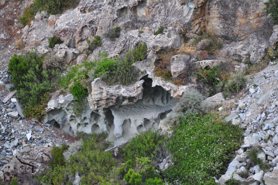 Korzika 2012 - foto povečava