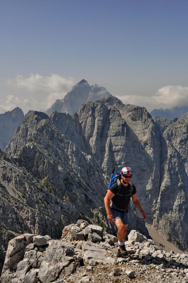 Visoka rateška ponca - foto povečava