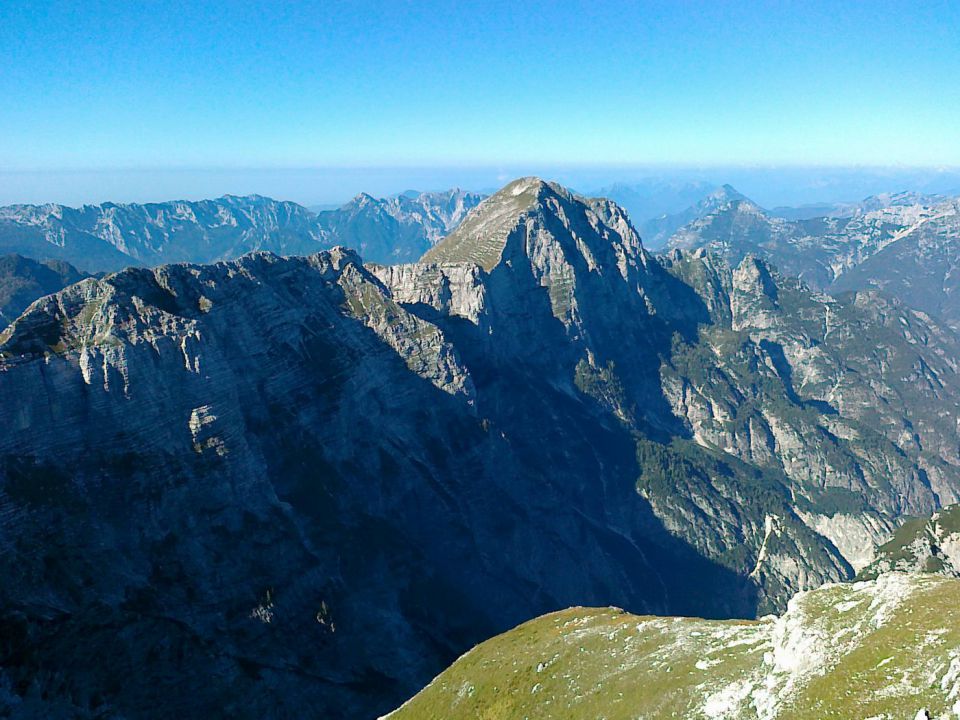 Poliški špik - foto povečava