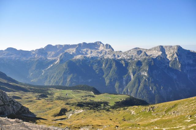 Poliški špik - foto