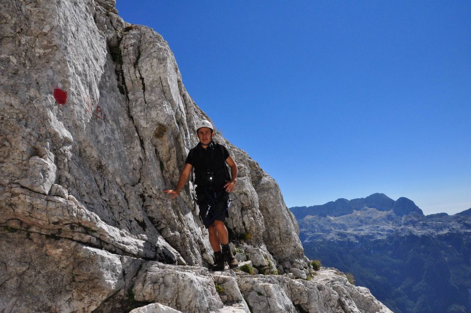 Poliški špik - foto povečava